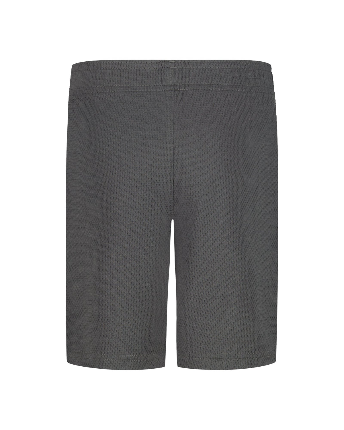 UA Tech™ Wordmark Little Boys' Shorts - Gray