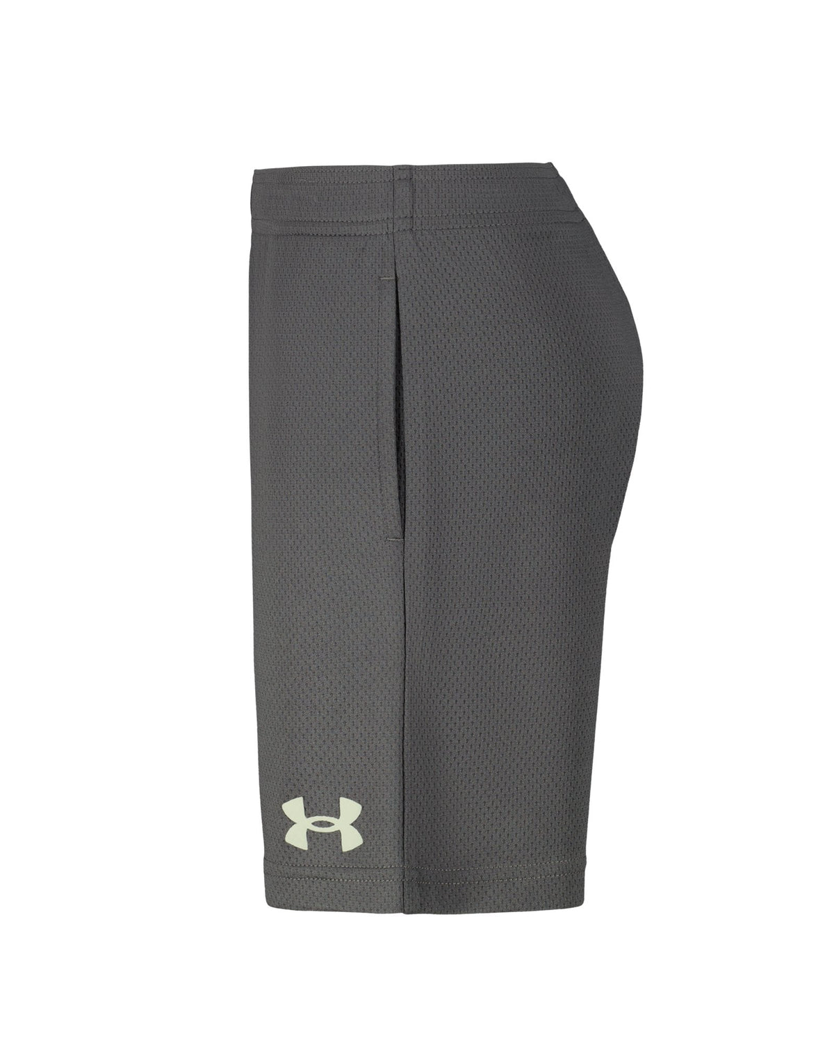 UA Tech™ Wordmark Little Boys' Shorts - Gray