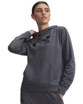 Armour Fleece® Big Logo Women's Hoodie - Gray